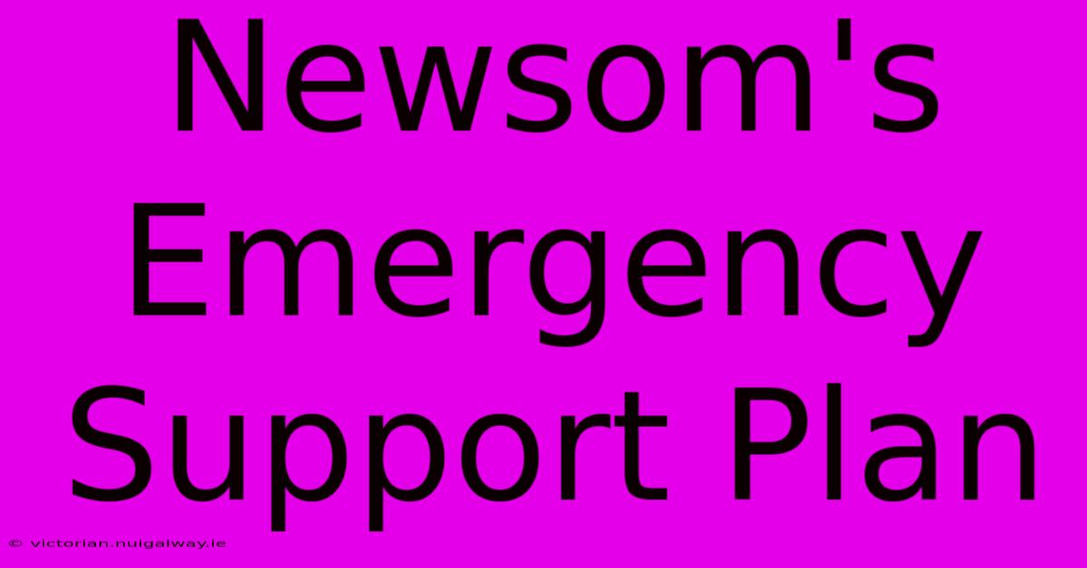 Newsom's Emergency Support Plan