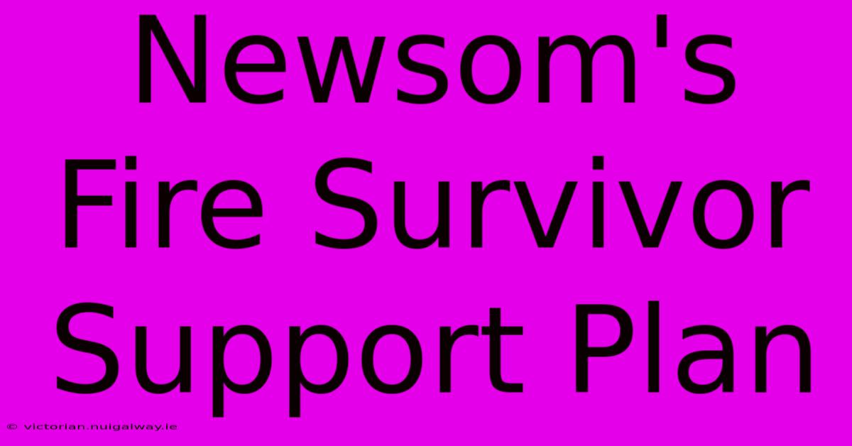 Newsom's Fire Survivor Support Plan