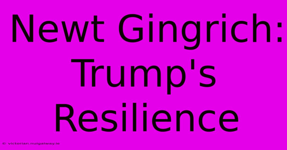 Newt Gingrich: Trump's Resilience