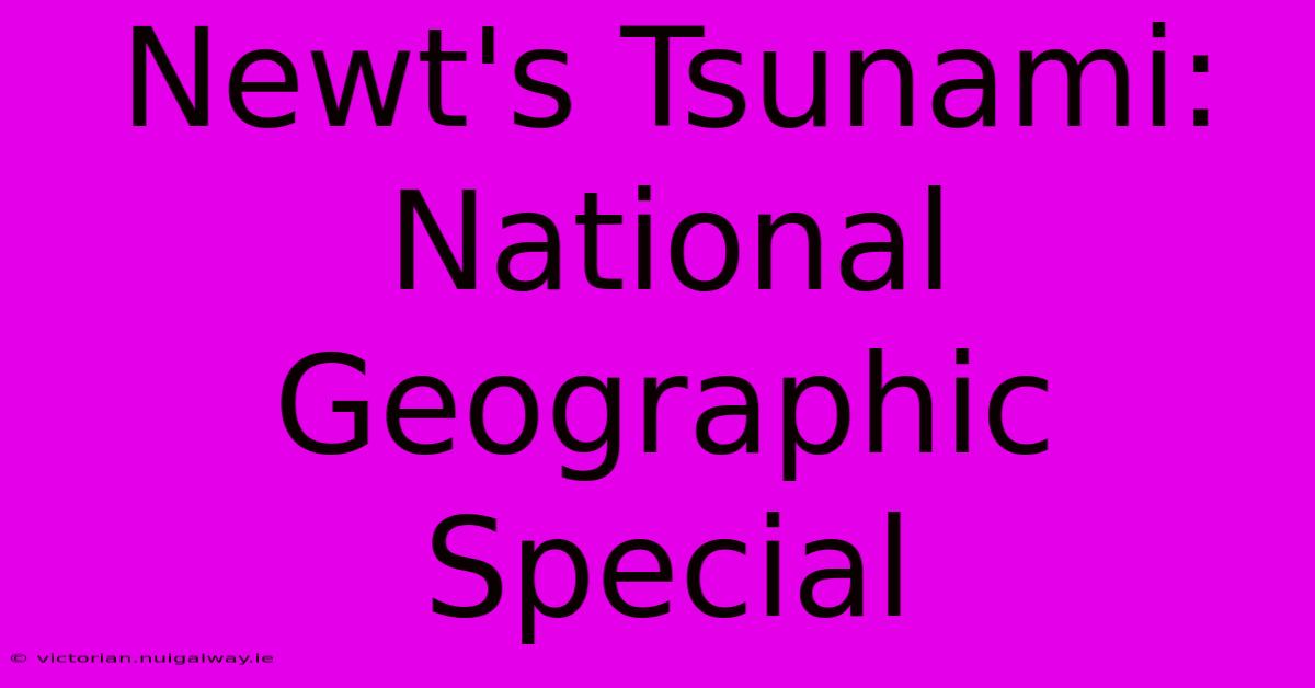 Newt's Tsunami: National Geographic Special