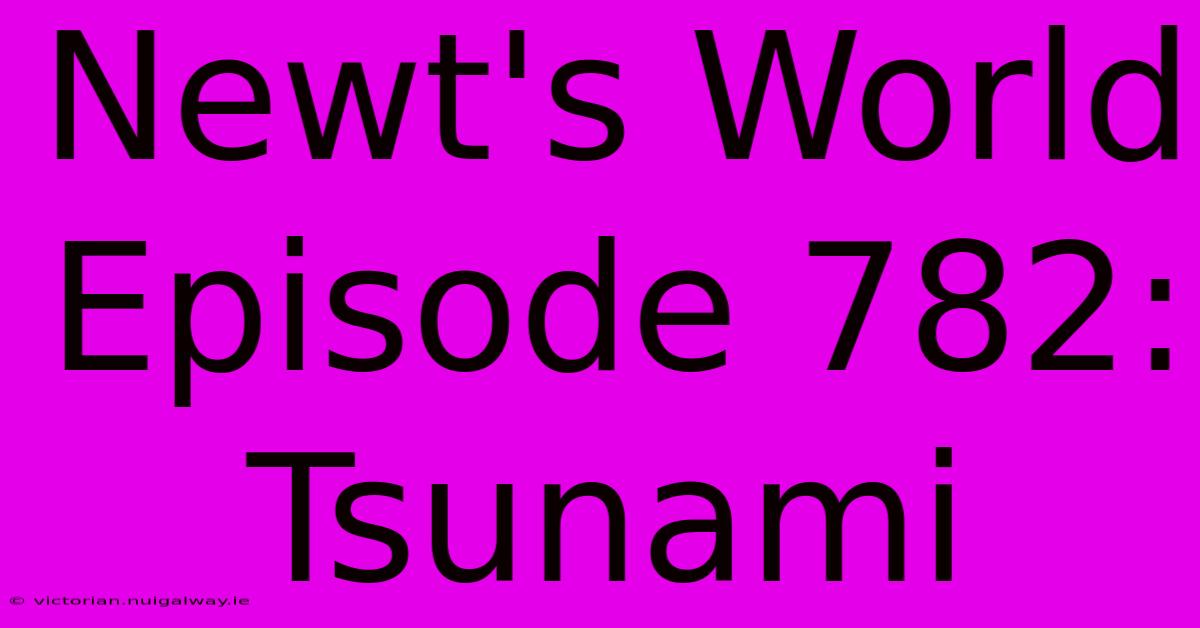 Newt's World Episode 782: Tsunami