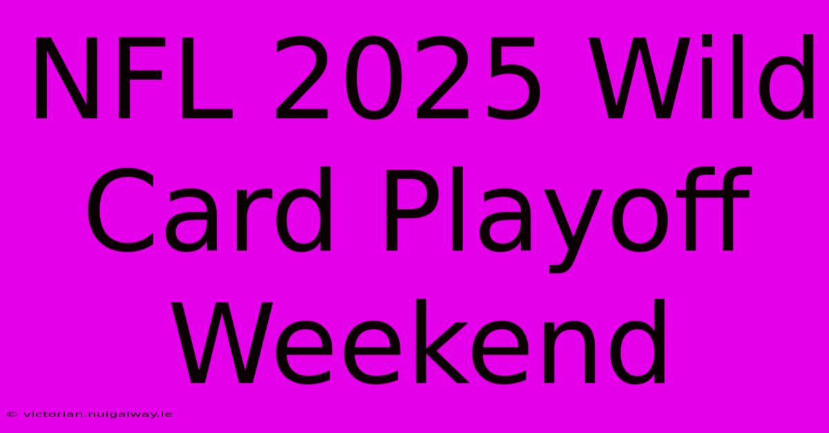 NFL 2025 Wild Card Playoff Weekend