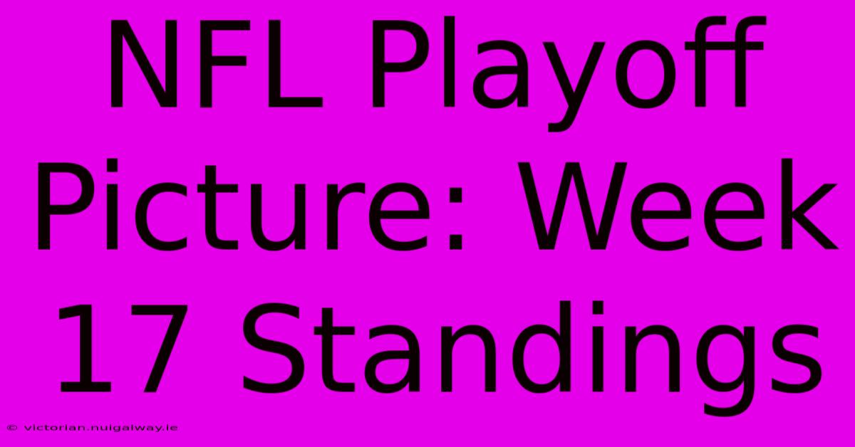 NFL Playoff Picture: Week 17 Standings