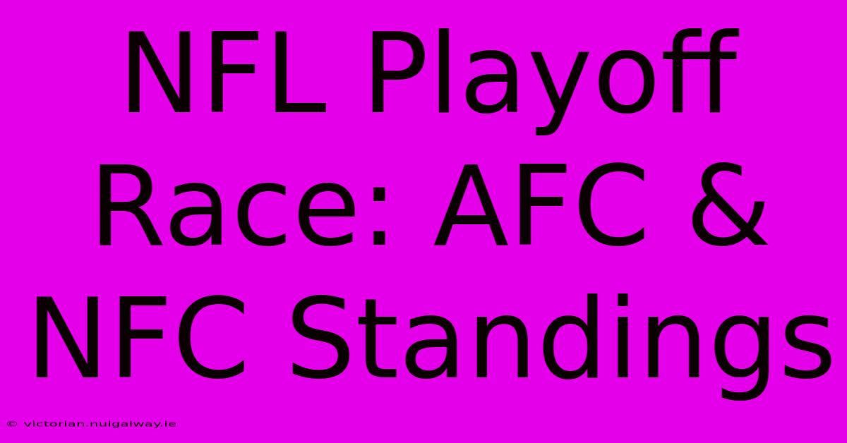 NFL Playoff Race: AFC & NFC Standings