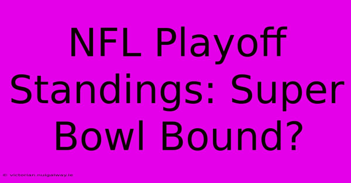 NFL Playoff Standings: Super Bowl Bound?