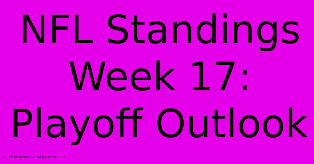 NFL Standings Week 17: Playoff Outlook