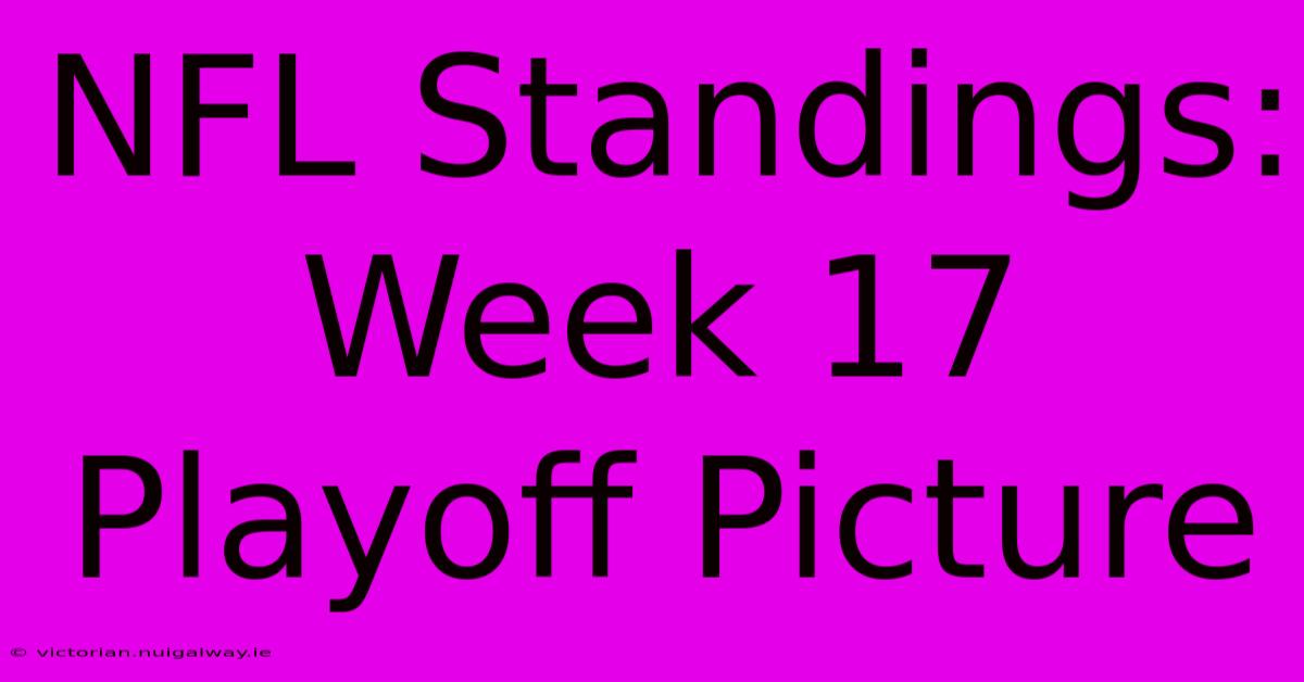 NFL Standings: Week 17 Playoff Picture