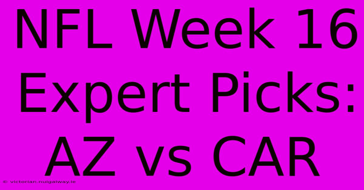 NFL Week 16 Expert Picks: AZ Vs CAR