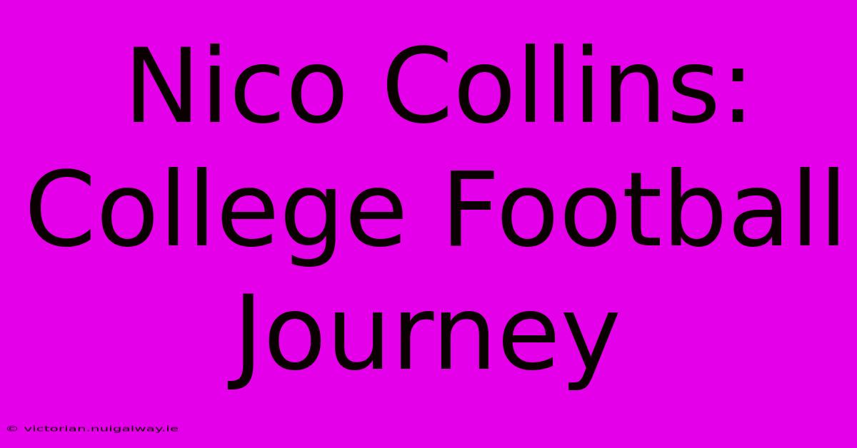 Nico Collins: College Football Journey