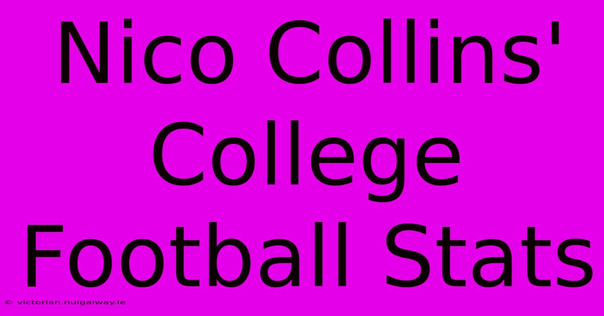 Nico Collins' College Football Stats