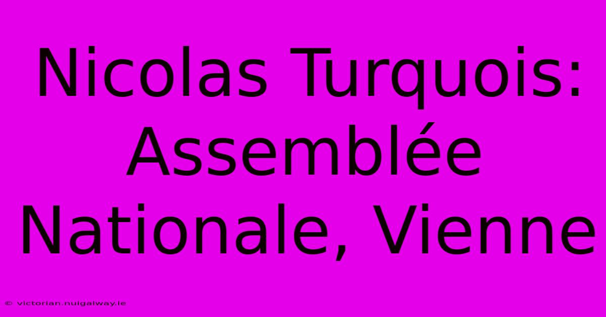 Nicolas Turquois: Assemblée Nationale, Vienne