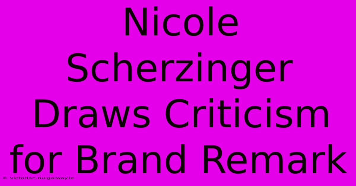 Nicole Scherzinger Draws Criticism For Brand Remark