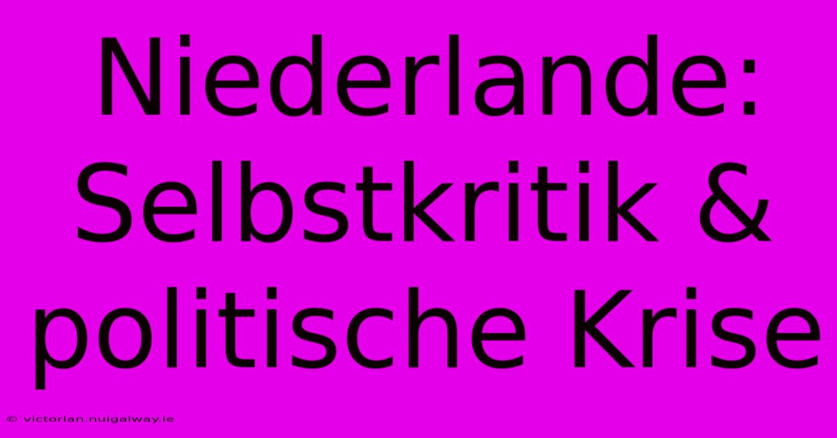 Niederlande: Selbstkritik & Politische Krise 