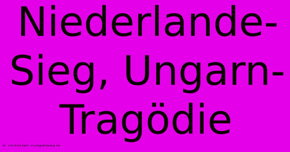 Niederlande-Sieg, Ungarn-Tragödie