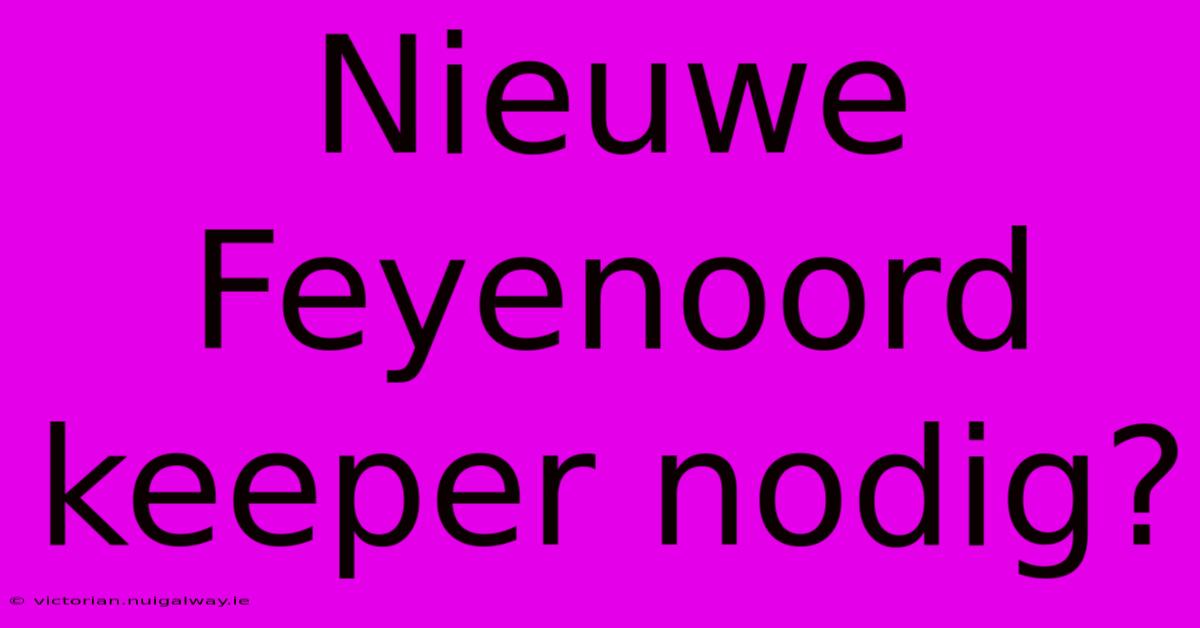 Nieuwe Feyenoord Keeper Nodig?