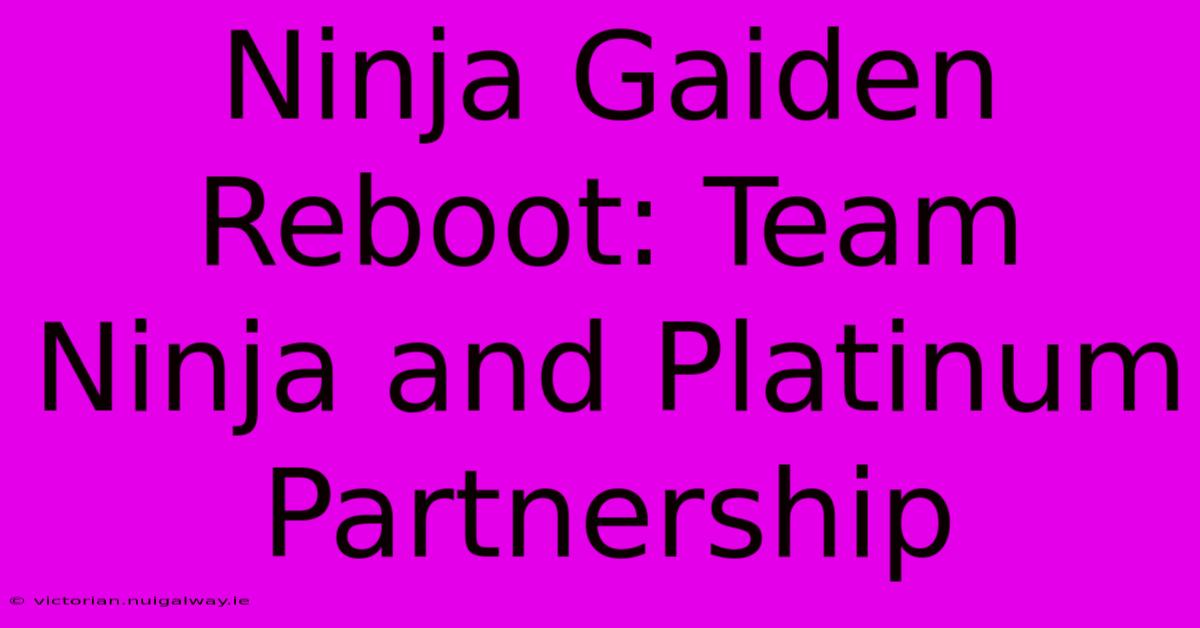 Ninja Gaiden Reboot: Team Ninja And Platinum Partnership