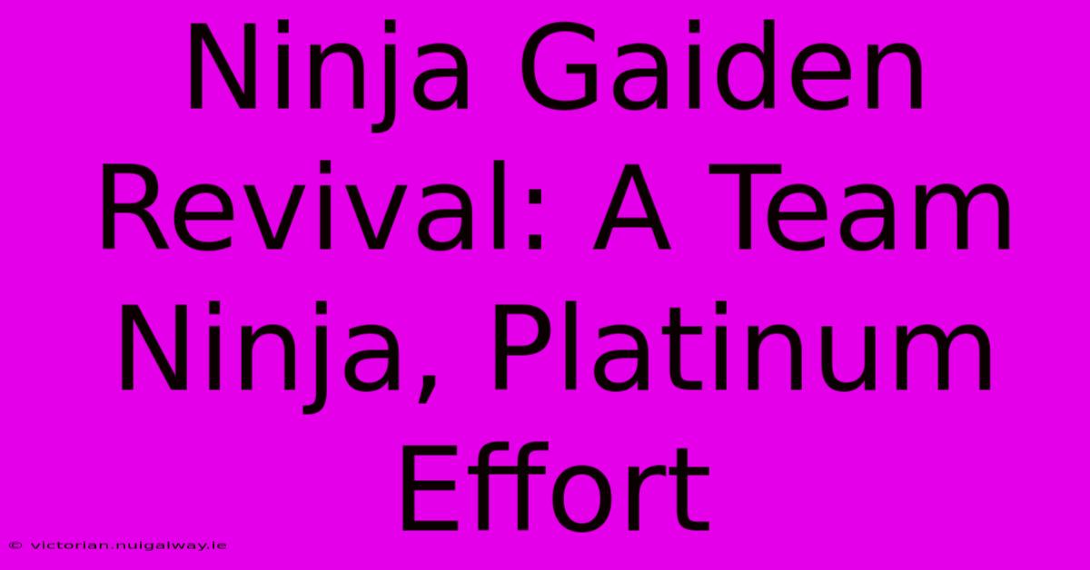 Ninja Gaiden Revival: A Team Ninja, Platinum Effort