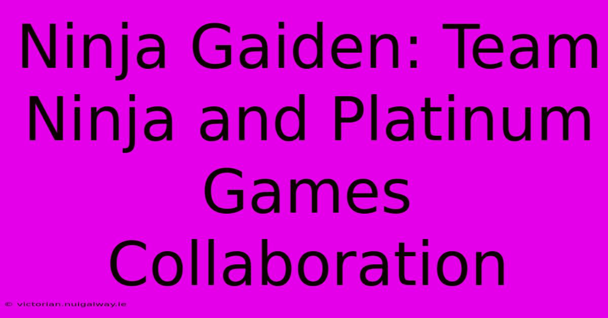 Ninja Gaiden: Team Ninja And Platinum Games Collaboration