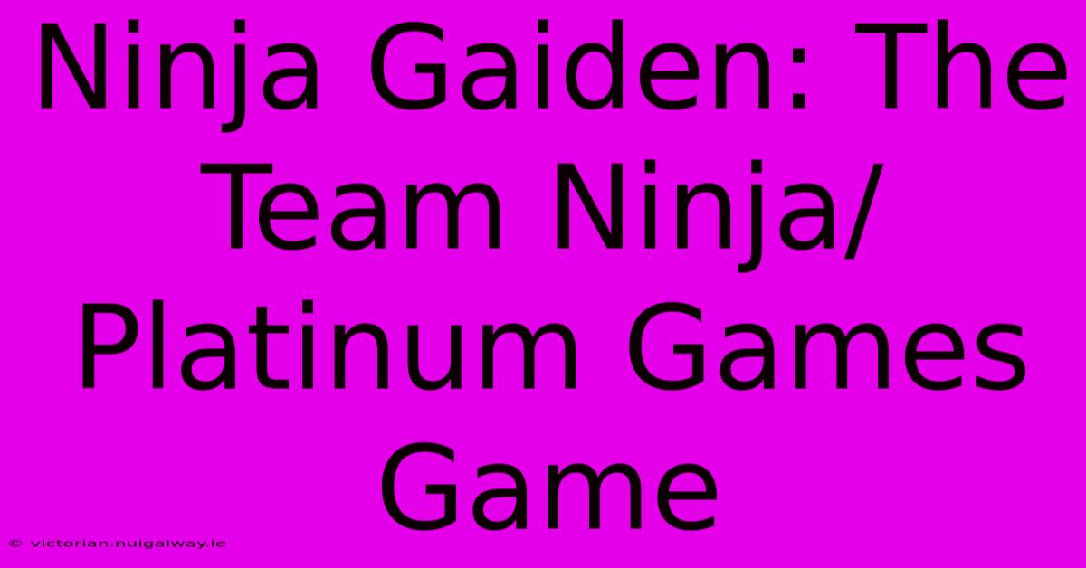 Ninja Gaiden: The Team Ninja/Platinum Games Game