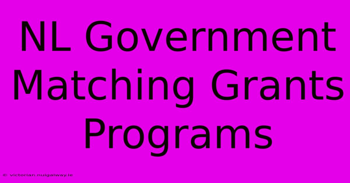 NL Government Matching Grants Programs