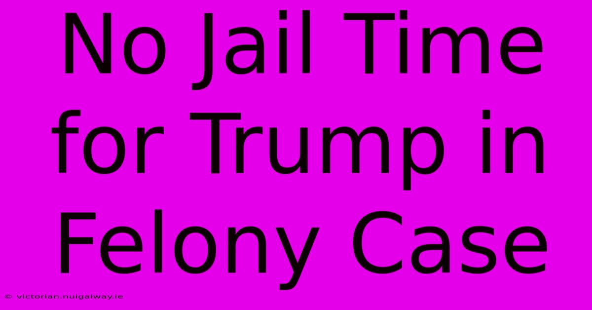 No Jail Time For Trump In Felony Case