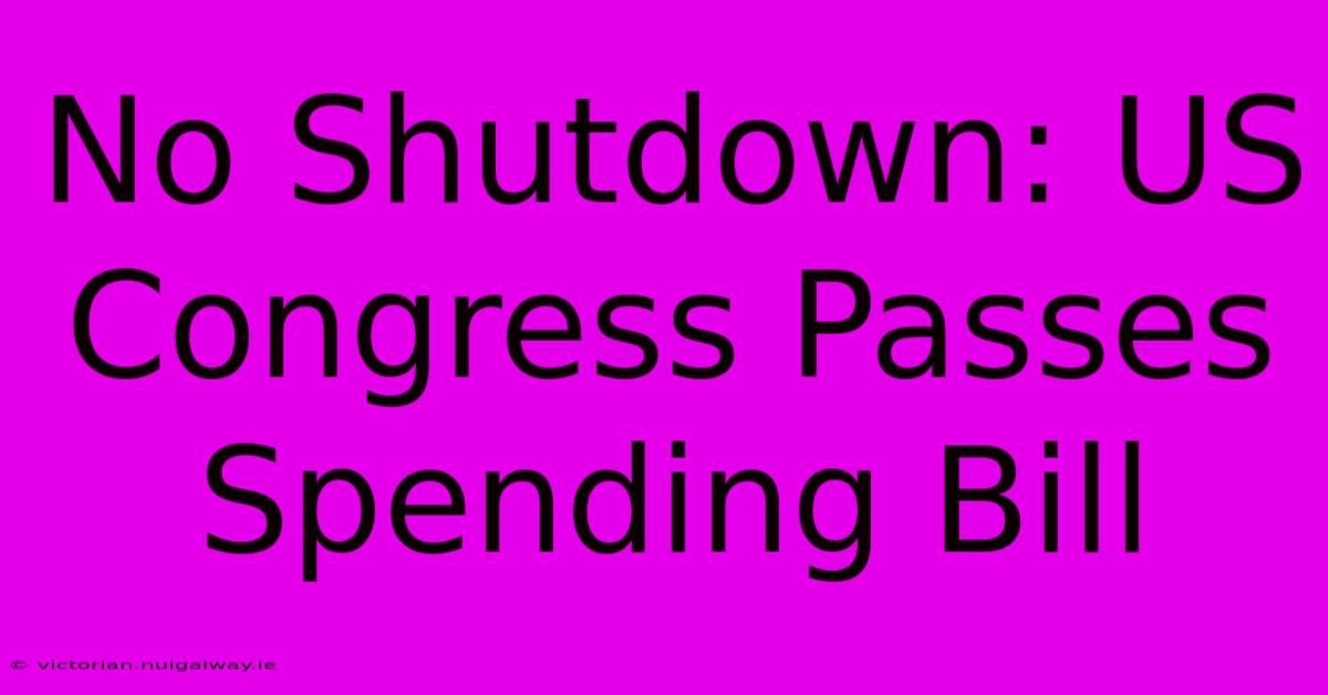 No Shutdown: US Congress Passes Spending Bill