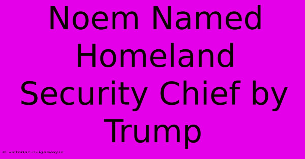 Noem Named Homeland Security Chief By Trump