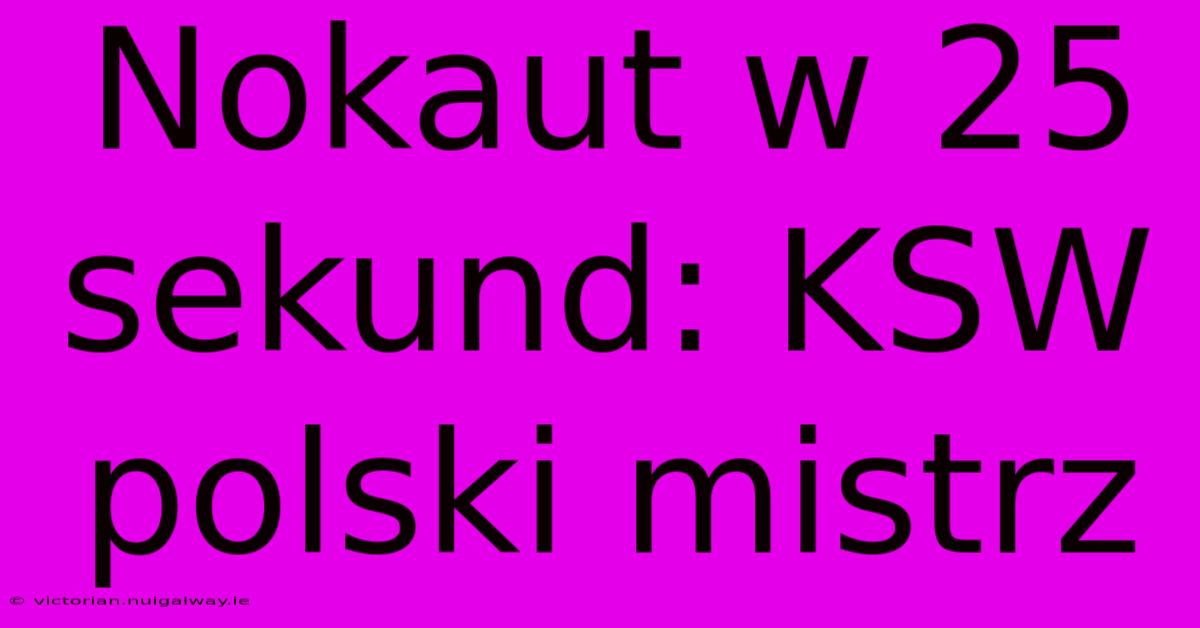 Nokaut W 25 Sekund: KSW Polski Mistrz