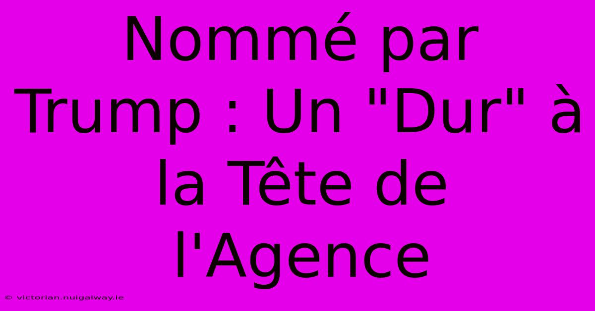 Nommé Par Trump : Un 