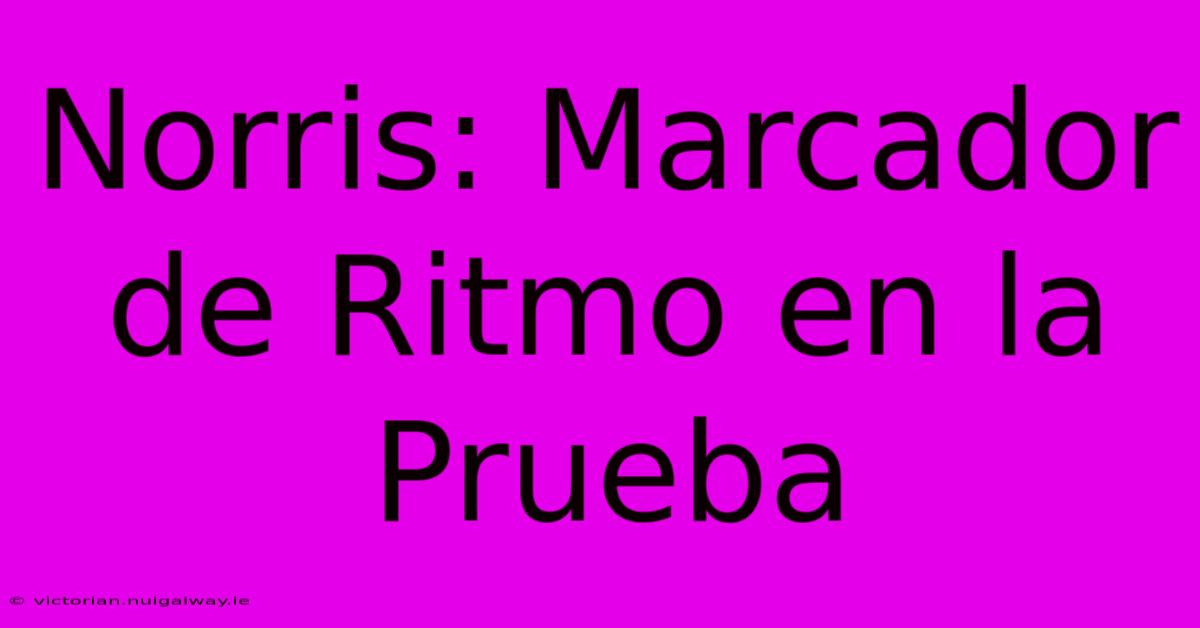 Norris: Marcador De Ritmo En La Prueba 