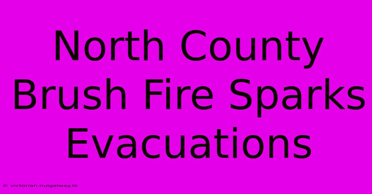 North County Brush Fire Sparks Evacuations