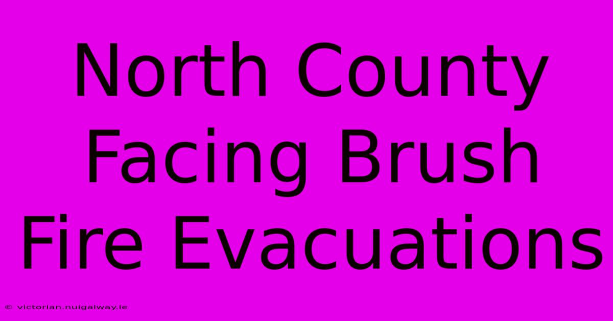 North County Facing Brush Fire Evacuations