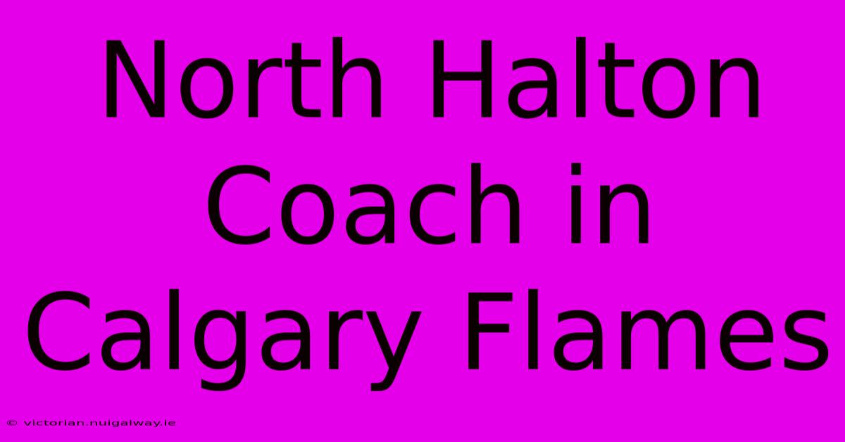 North Halton Coach In Calgary Flames