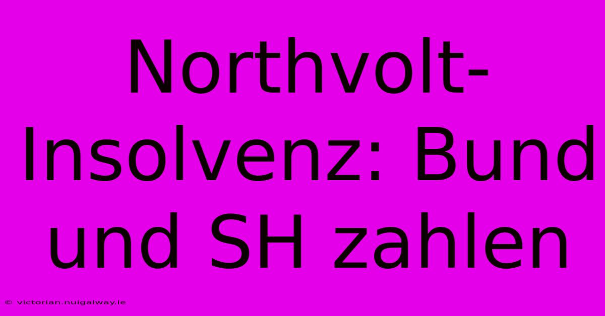 Northvolt-Insolvenz: Bund Und SH Zahlen