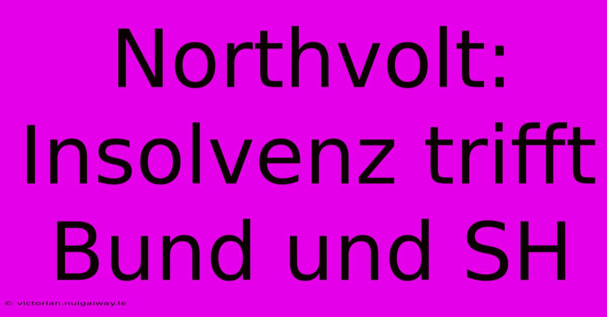 Northvolt: Insolvenz Trifft Bund Und SH