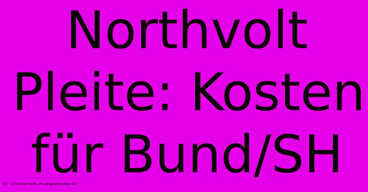 Northvolt Pleite: Kosten Für Bund/SH