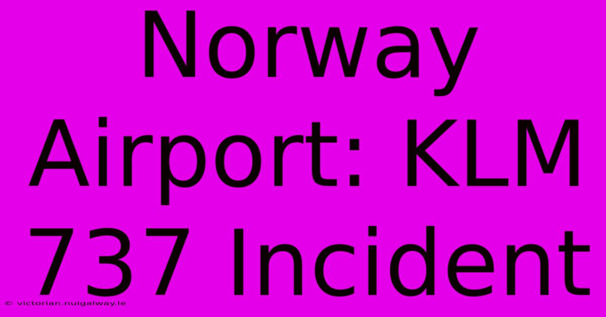 Norway Airport: KLM 737 Incident