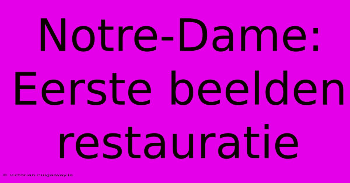 Notre-Dame: Eerste Beelden Restauratie