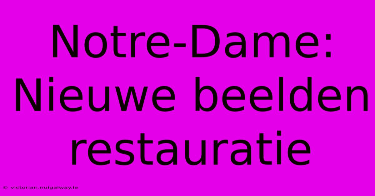 Notre-Dame: Nieuwe Beelden Restauratie