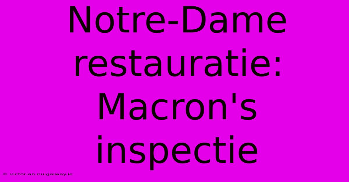 Notre-Dame Restauratie: Macron's Inspectie