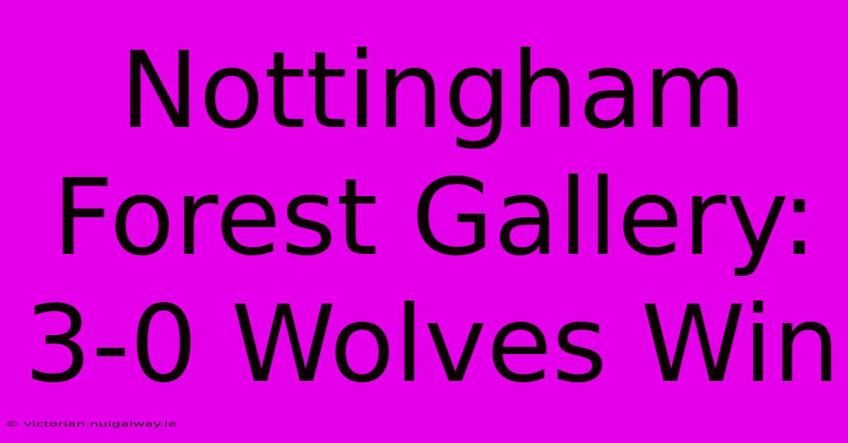 Nottingham Forest Gallery: 3-0 Wolves Win