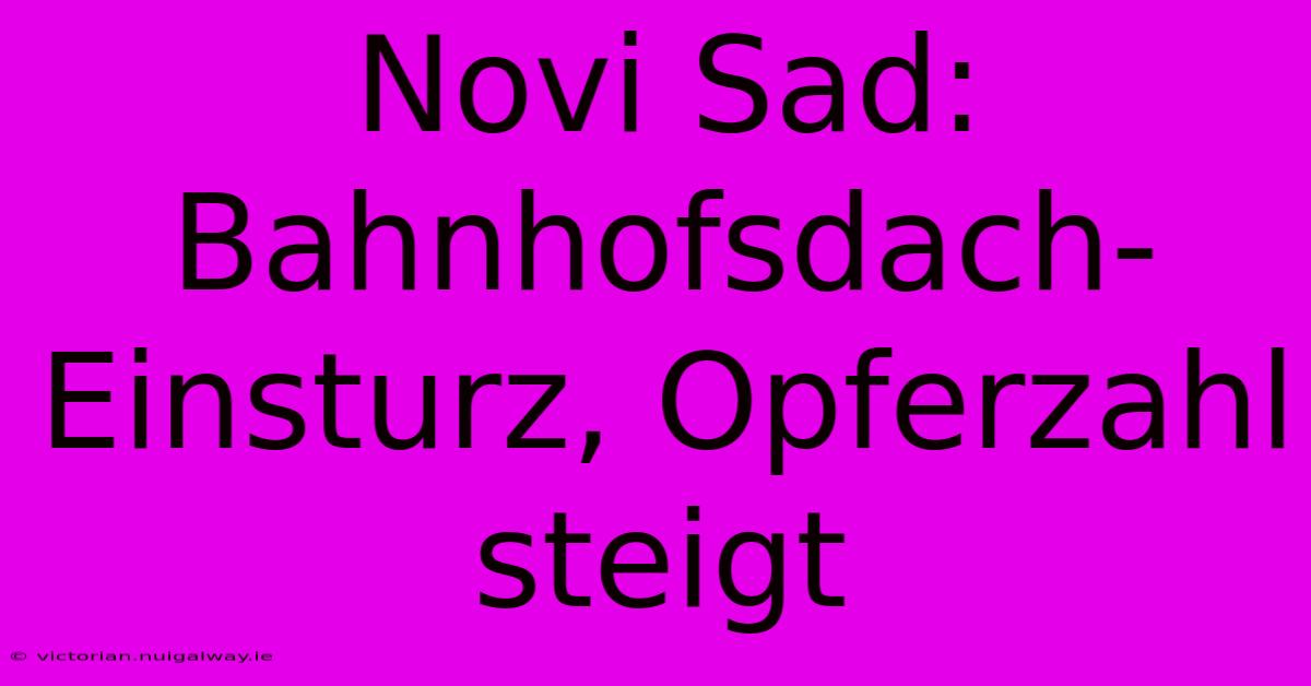 Novi Sad: Bahnhofsdach-Einsturz, Opferzahl Steigt