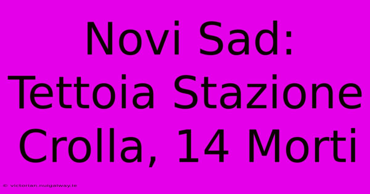 Novi Sad: Tettoia Stazione Crolla, 14 Morti