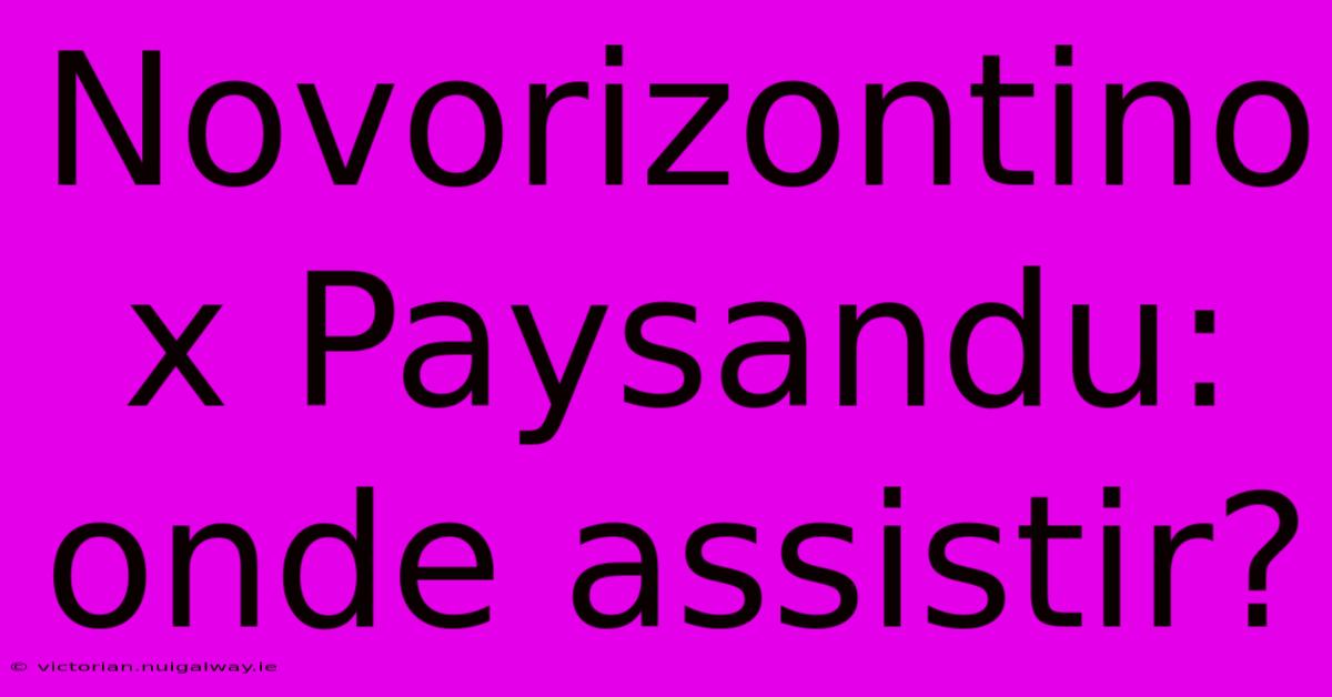 Novorizontino X Paysandu: Onde Assistir?