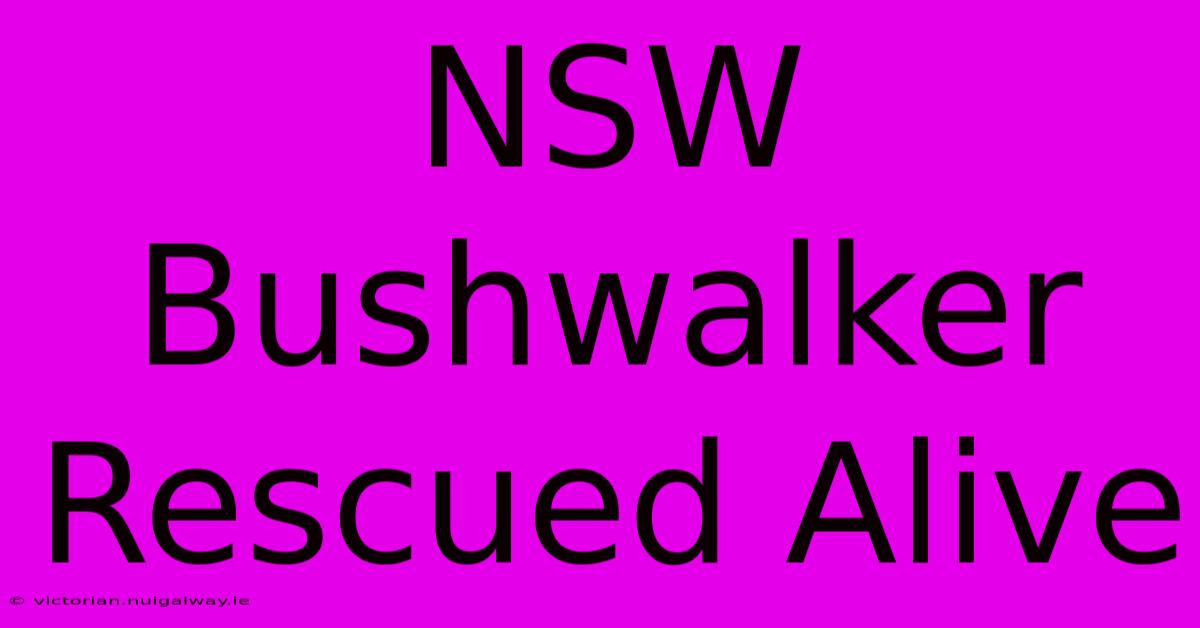 NSW Bushwalker Rescued Alive