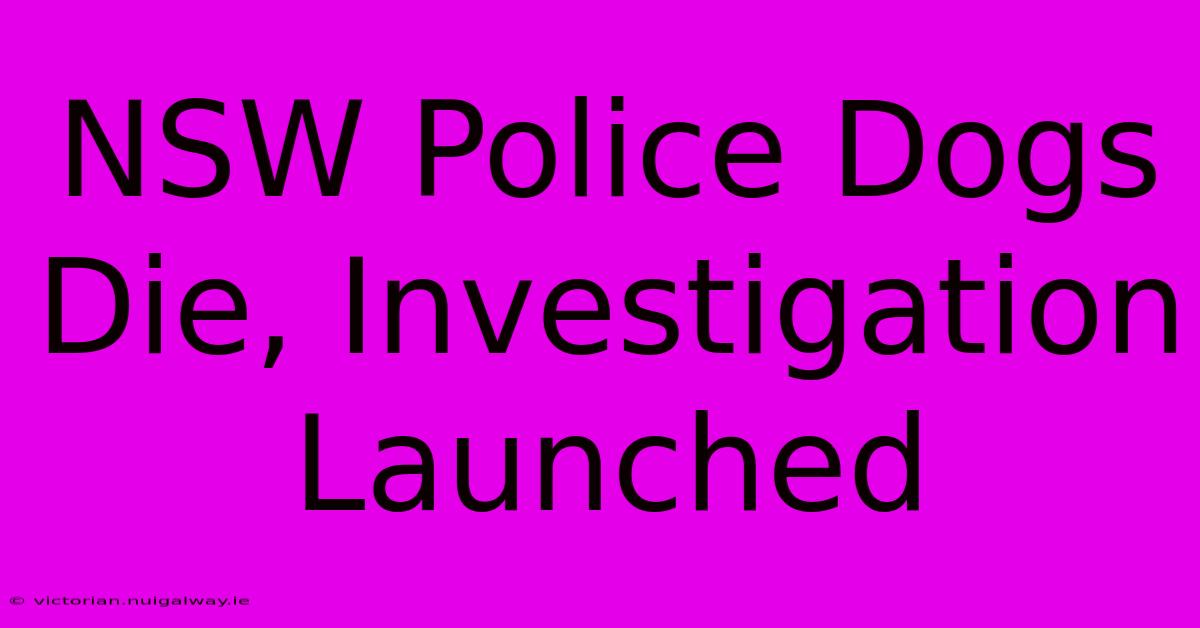 NSW Police Dogs Die, Investigation Launched