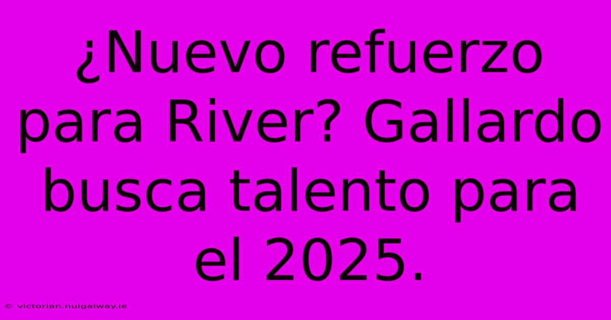 ¿Nuevo Refuerzo Para River? Gallardo Busca Talento Para El 2025.