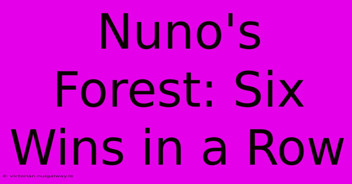 Nuno's Forest: Six Wins In A Row