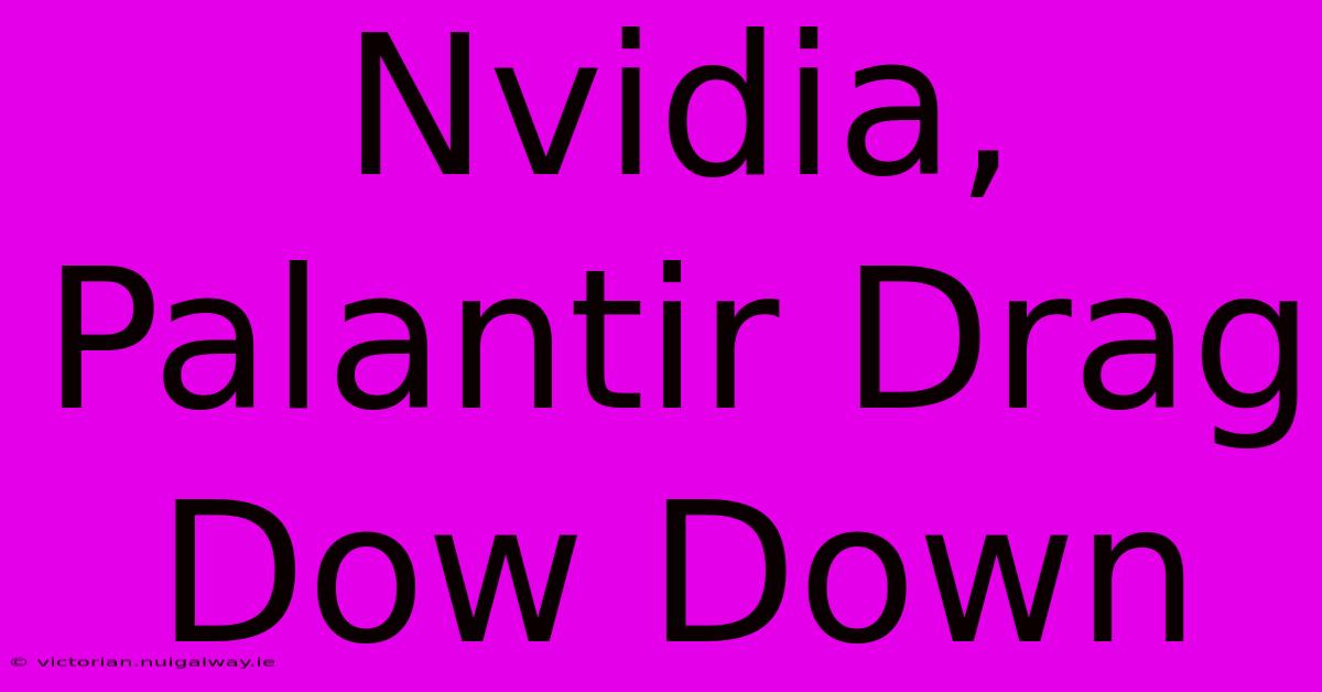 Nvidia, Palantir Drag Dow Down