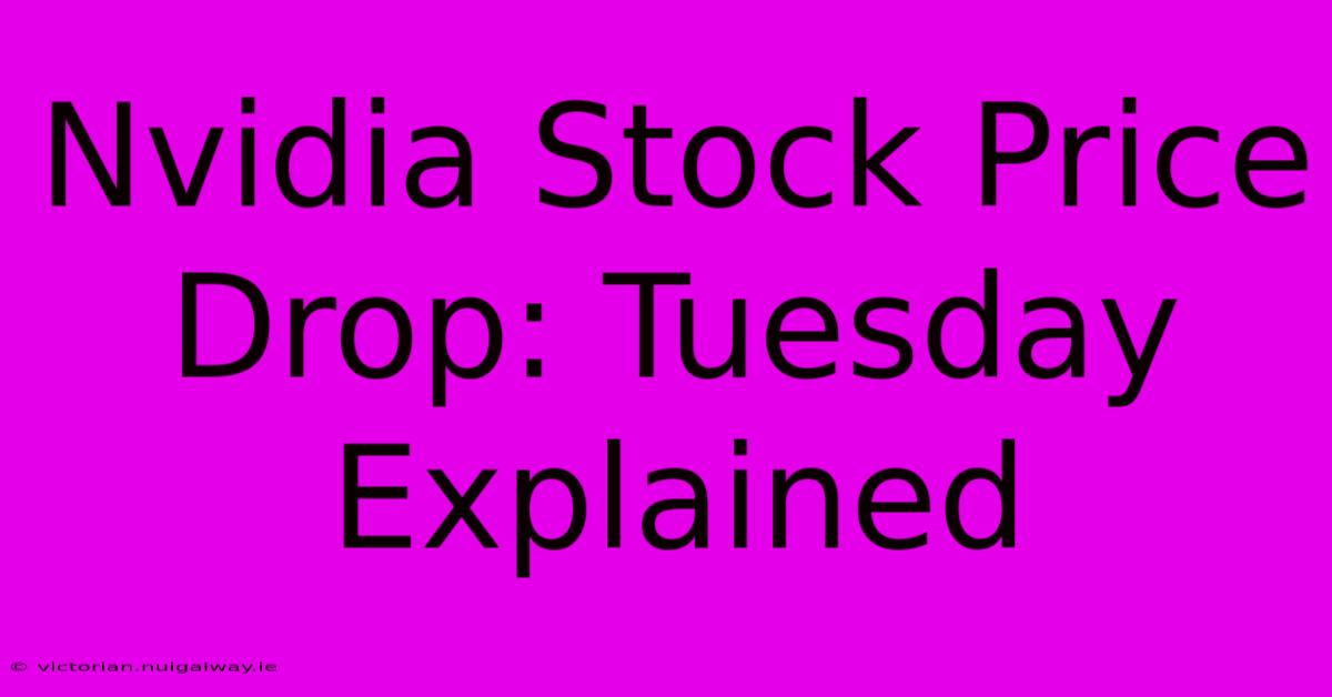 Nvidia Stock Price Drop: Tuesday Explained